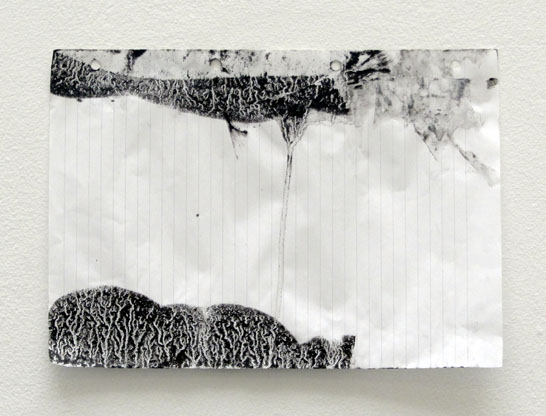 Philip Bradshaw, Submersion/emersion 2, 2012